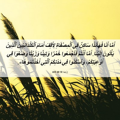 Picture 06 - إِرْمِيَا 40:10 AVD - أَمَّا أَنَا فَهَأَنَذَا - Bible Verse Picture