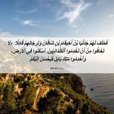 Picture 06 - إِرْمِيَا 40:9 AVD - فَحَلَفَ لَهُمْ جَدَلْيَا - Bible Verse Picture