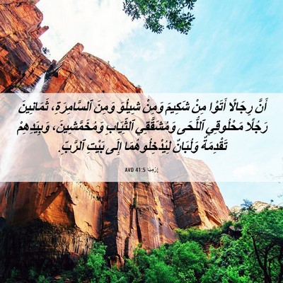 Picture 06 - إِرْمِيَا 41:5 AVD - أَنَّ رِجَالًا أَتَوْا - Bible Verse Picture