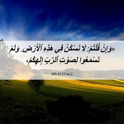 Picture 06 - إِرْمِيَا 42:13 AVD - «وَإِنْ قُلْتُمْ: لَا - Bible Verse Picture