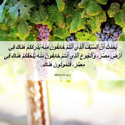 Picture 06 - إِرْمِيَا 42:16 AVD - يَحْدُثُ أَنَّ ٱلسَّيْفَ - Bible Verse Picture