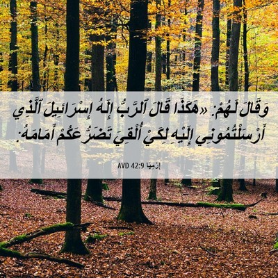 Picture 06 - إِرْمِيَا 42:9 AVD - وَقَالَ لَهُمْ: «هَكَذَا - Bible Verse Picture