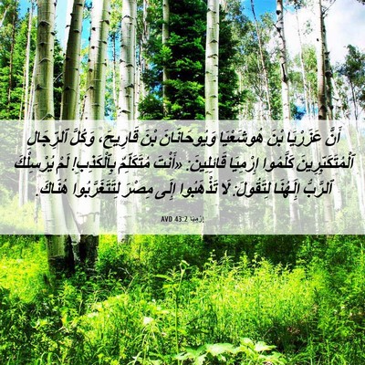 Picture 06 - إِرْمِيَا 43:2 AVD - أَنَّ عَزَرْيَا بْنَ - Bible Verse Picture