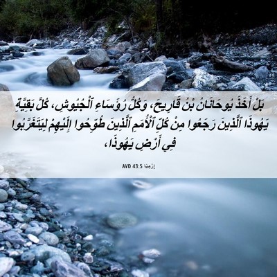 Picture 06 - إِرْمِيَا 43:5 AVD - بَلْ أَخَذَ يُوحَانَانُ - Bible Verse Picture