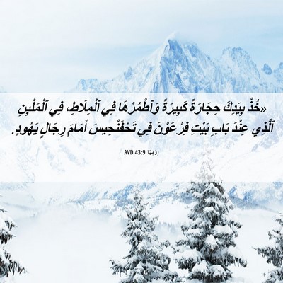 Picture 06 - إِرْمِيَا 43:9 AVD - «خُذْ بِيَدِكَ حِجَارَةً - Bible Verse Picture