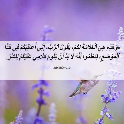 Picture 06 - إِرْمِيَا 44:29 AVD - «وَهَذِهِ هِيَ - Bible Verse Picture
