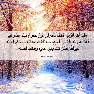 Picture 06 - إِرْمِيَا 44:30 AVD - هَكَذَا قَالَ ٱلرَّبُّ: - Bible Verse Picture