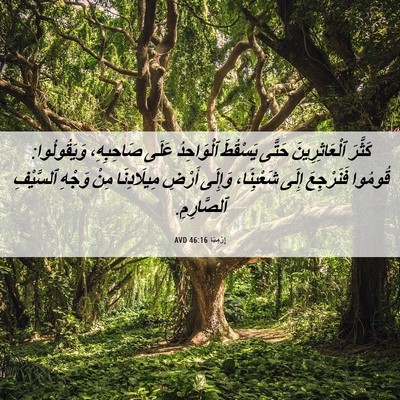 Picture 06 - إِرْمِيَا 46:16 AVD - كَثَّرَ ٱلْعَاثِرِينَ - Bible Verse Picture