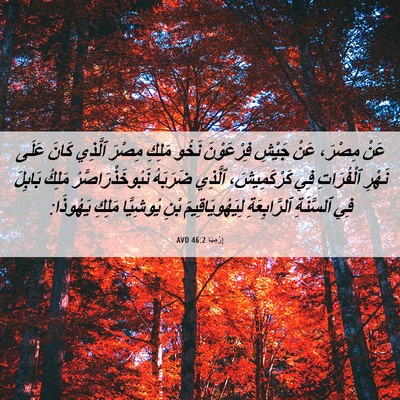 Picture 06 - إِرْمِيَا 46:2 AVD - عَنْ مِصْرَ، عَنْ جَيْشِ - Bible Verse Picture