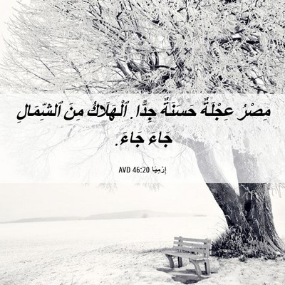 Picture 06 - إِرْمِيَا 46:20 AVD - مِصْرُ عِجْلَةٌ حَسَنَةٌ - Bible Verse Picture