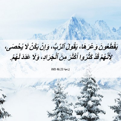 Picture 06 - إِرْمِيَا 46:23 AVD - يَقْطَعُونَ وَعْرَهَا، - Bible Verse Picture