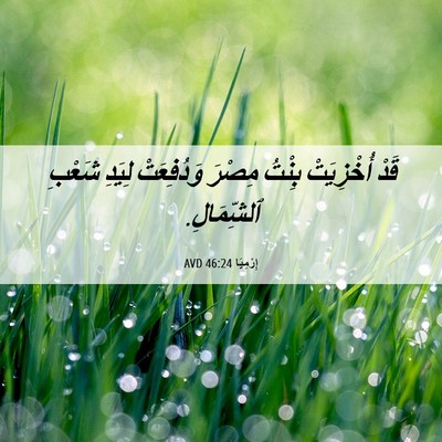 Picture 06 - إِرْمِيَا 46:24 AVD - قَدْ أُخْزِيَتْ بِنْتُ - Bible Verse Picture