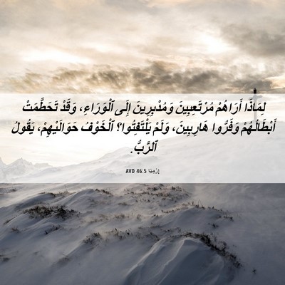 Picture 06 - إِرْمِيَا 46:5 AVD - لِمَاذَا أَرَاهُمْ - Bible Verse Picture