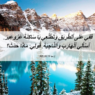 Picture 06 - إِرْمِيَا 48:19 AVD - قِفِي عَلَى ٱلطَّرِيقِ - Bible Verse Picture