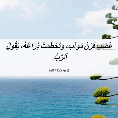 Picture 06 - إِرْمِيَا 48:25 AVD - عُضِبَ قَرْنُ مُوآبَ، - Bible Verse Picture