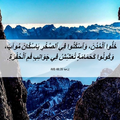 Picture 06 - إِرْمِيَا 48:28 AVD - خَلُّوا ٱلْمُدُنَ، - Bible Verse Picture