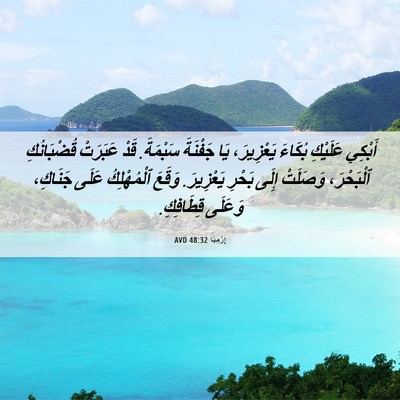 Picture 06 - إِرْمِيَا 48:32 AVD - أَبْكِي عَلَيْكِ بُكَاءَ - Bible Verse Picture