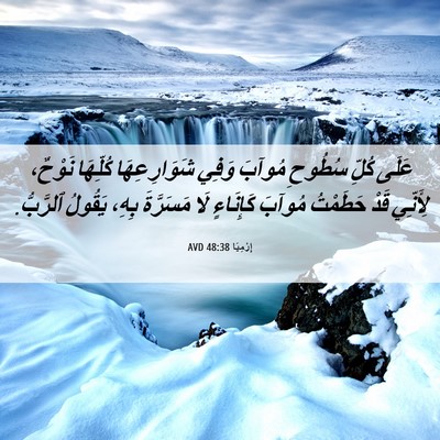 Picture 06 - إِرْمِيَا 48:38 AVD - عَلَى كُلِّ سُطُوحِ مُوآبَ - Bible Verse Picture