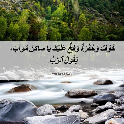 Picture 06 - إِرْمِيَا 48:43 AVD - خَوْفٌ وَحُفْرَةٌ وَفَخٌّ - Bible Verse Picture