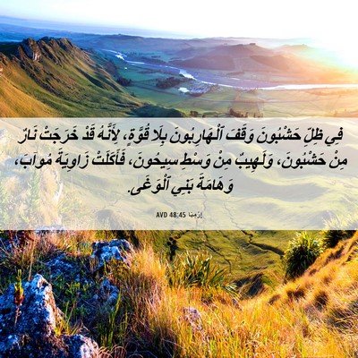 Picture 06 - إِرْمِيَا 48:45 AVD - فِي ظِلِّ حَشْبُونَ وَقَفَ - Bible Verse Picture