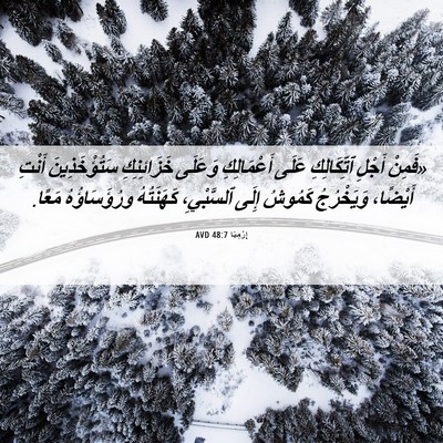 Picture 06 - إِرْمِيَا 48:7 AVD - «فَمِنْ أَجْلِ - Bible Verse Picture