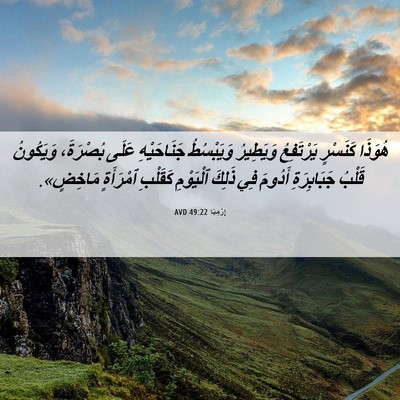 Picture 06 - إِرْمِيَا 49:22 AVD - هُوَذَا كَنَسْرٍ - Bible Verse Picture