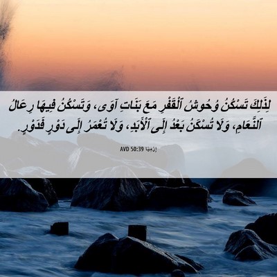 Picture 06 - إِرْمِيَا 50:39 AVD - لِذَلِكَ تَسْكُنُ وُحُوشُ - Bible Verse Picture