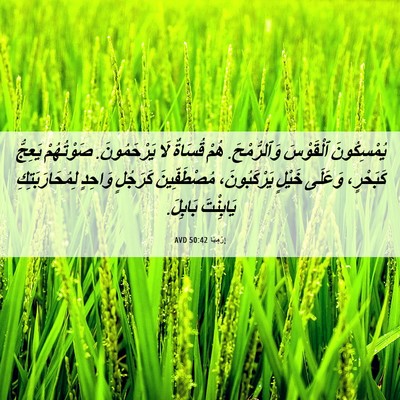 Picture 06 - إِرْمِيَا 50:42 AVD - يُمْسِكُونَ ٱلْقَوْسَ - Bible Verse Picture