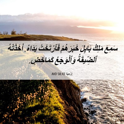 Picture 06 - إِرْمِيَا 50:43 AVD - سَمِعَ مَلِكُ بَابِلَ - Bible Verse Picture