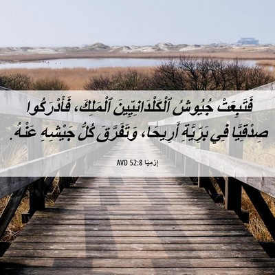 Picture 06 - إِرْمِيَا 52:8 AVD - فَتَبِعَتْ جُيُوشُ - Bible Verse Picture