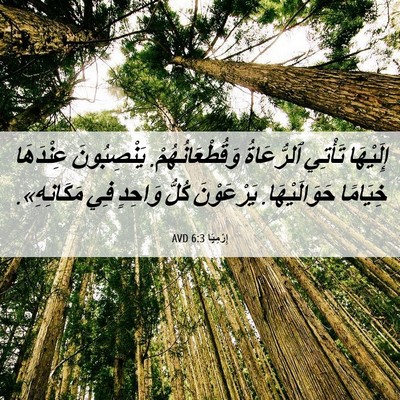 Picture 06 - إِرْمِيَا 6:3 AVD - إِلَيْهَا تَأْتِي - Bible Verse Picture