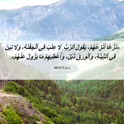 Picture 06 - إِرْمِيَا 8:13 AVD - «نَزْعًا أَنْزِعُهُمْ، - Bible Verse Picture