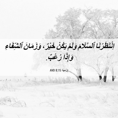 Picture 06 - إِرْمِيَا 8:15 AVD - اِنْتَظَرْنَا ٱلسَّلَامَ - Bible Verse Picture