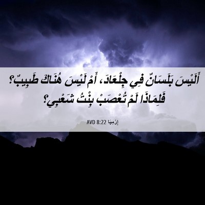 Picture 06 - إِرْمِيَا 8:22 AVD - أَلَيْسَ بَلَسَانٌ فِي - Bible Verse Picture