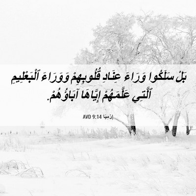 Picture 06 - إِرْمِيَا 9:14 AVD - بَلْ سَلَكُوا وَرَاءَ - Bible Verse Picture