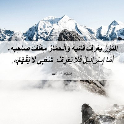 Picture 06 - إِشَعْيَاءَ 1:3 AVD - اَلثَّوْرُ يَعْرِفُ - Bible Verse Picture