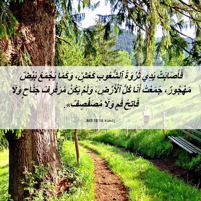 Picture 06 - إِشَعْيَاءَ 10:14 AVD - فَأَصَابَتْ يَدِي - Bible Verse Picture