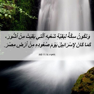 Picture 06 - إِشَعْيَاءَ 11:16 AVD - وَتَكُونُ سِكَّةٌ - Bible Verse Picture