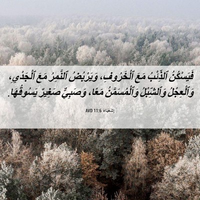 Picture 06 - إِشَعْيَاءَ 11:6 AVD - فَيَسْكُنُ ٱلذِّئْبُ مَعَ - Bible Verse Picture