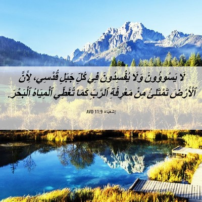 Picture 06 - إِشَعْيَاءَ 11:9 AVD - لَا يَسُوؤُونَ وَلَا - Bible Verse Picture
