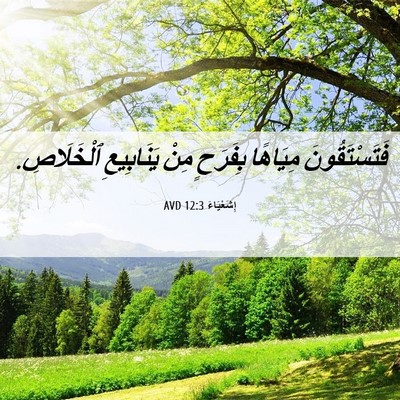 Picture 06 - إِشَعْيَاءَ 12:3 AVD - فَتَسْتَقُونَ مِيَاهًا - Bible Verse Picture