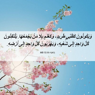 Picture 06 - إِشَعْيَاءَ 13:14 AVD - وَيَكُونُونَ كَظَبْيٍ - Bible Verse Picture