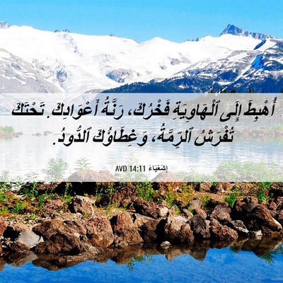 Picture 06 - إِشَعْيَاءَ 14:11 AVD - أُهْبِطَ إِلَى - Bible Verse Picture