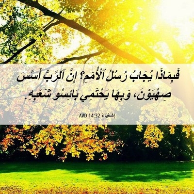Picture 06 - إِشَعْيَاءَ 14:32 AVD - فَبِمَاذَا يُجَابُ رُسُلُ - Bible Verse Picture
