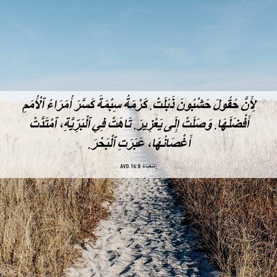 Picture 06 - إِشَعْيَاءَ 16:8 AVD - لِأَنَّ حُقُولَ حَشْبُونَ - Bible Verse Picture
