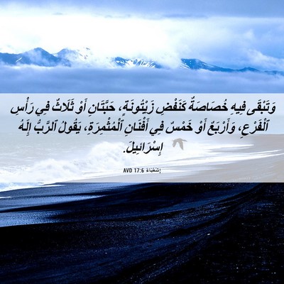 Picture 06 - إِشَعْيَاءَ 17:6 AVD - وَتَبْقَى فِيهِ خُصَاصَةٌ - Bible Verse Picture