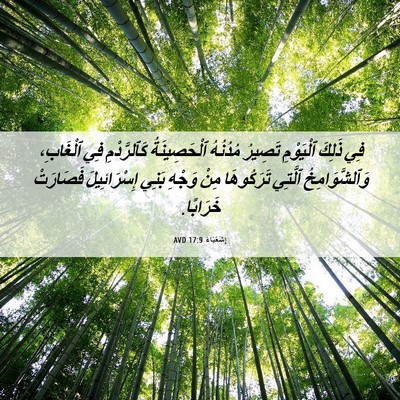 Picture 06 - إِشَعْيَاءَ 17:9 AVD - فِي ذَلِكَ ٱلْيَوْمِ - Bible Verse Picture