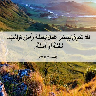 Picture 06 - إِشَعْيَاءَ 19:15 AVD - فَلَا يَكُونُ لِمِصْرَ - Bible Verse Picture