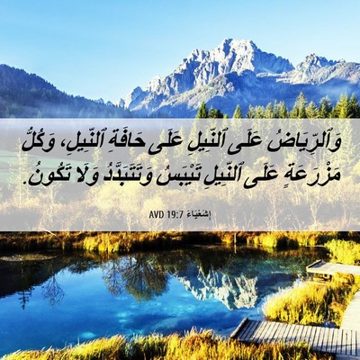 Picture 06 - إِشَعْيَاءَ 19:7 AVD - وَٱلرِّيَاضُ عَلَى - Bible Verse Picture