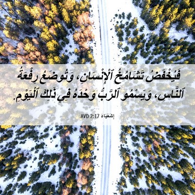Picture 06 - إِشَعْيَاءَ 2:17 AVD - فَيُخْفَضُ تَشَامُخُ - Bible Verse Picture